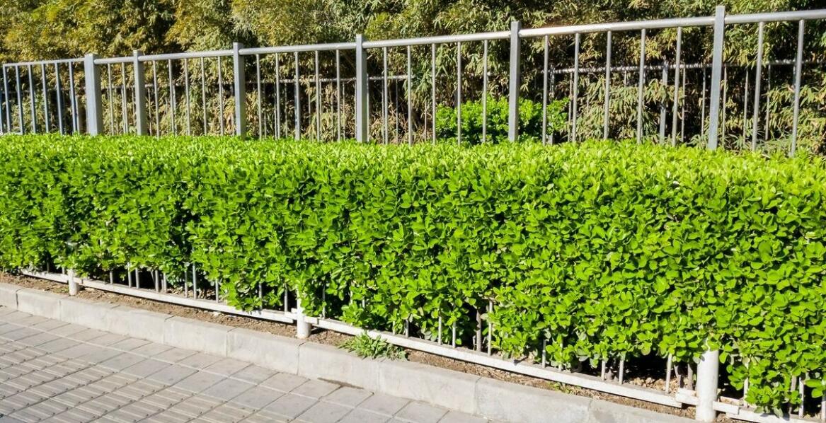 Wybór odpowiednich barierek chodnikowych do różnych projektów infrastrukturalnych