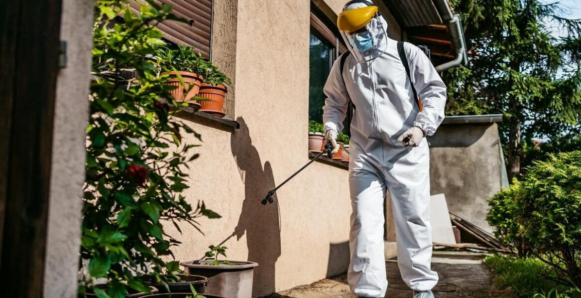 Deratyzacja a zdrowie – jak chronić się przed zagrożeniami?