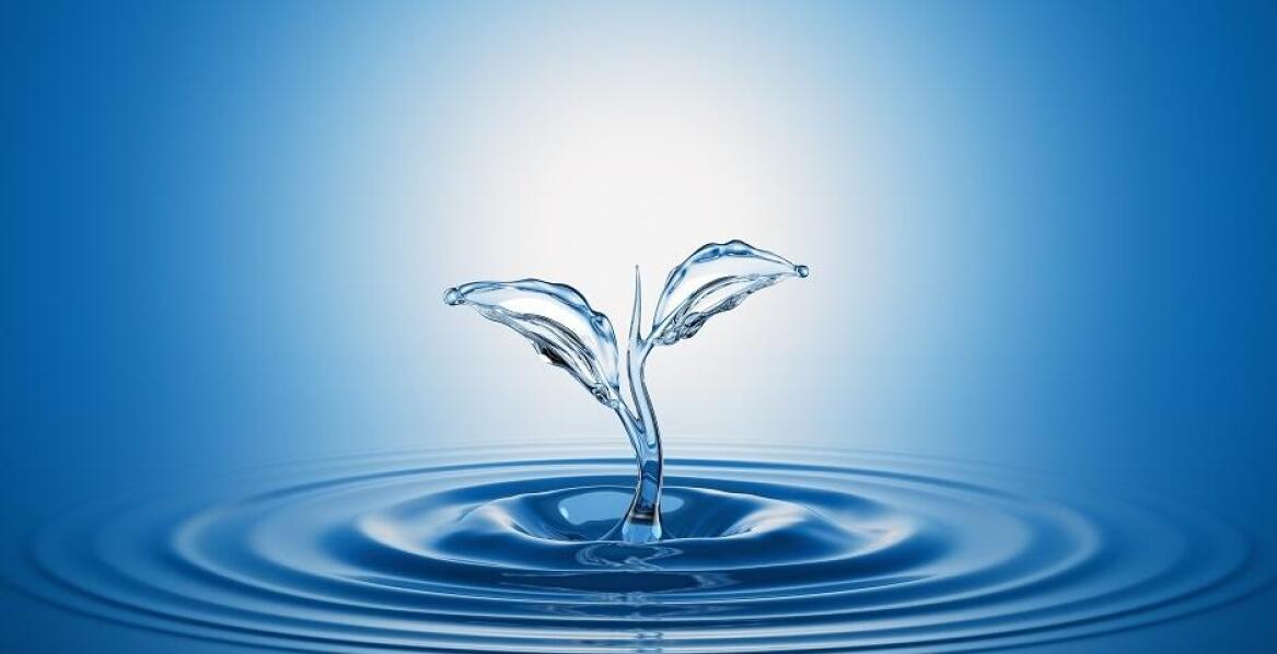 Zastosowanie inteligentnych systemów w zarządzaniu zużyciem wody
