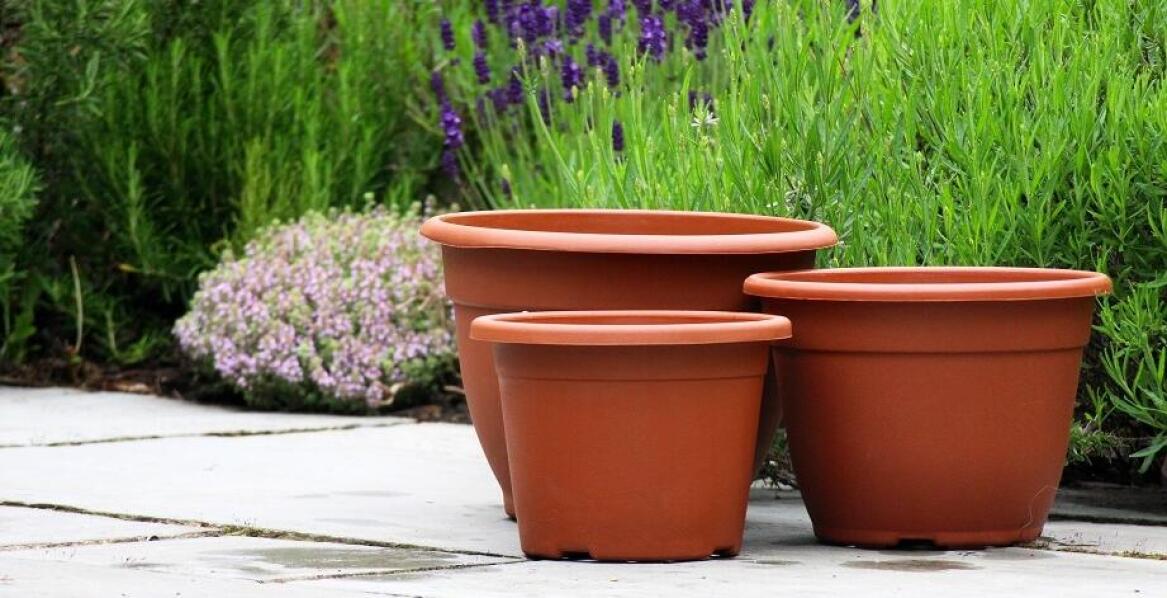 Wyprzedaż dużych donic ogrodowych – praktyczne porady dla miłośników roślinności