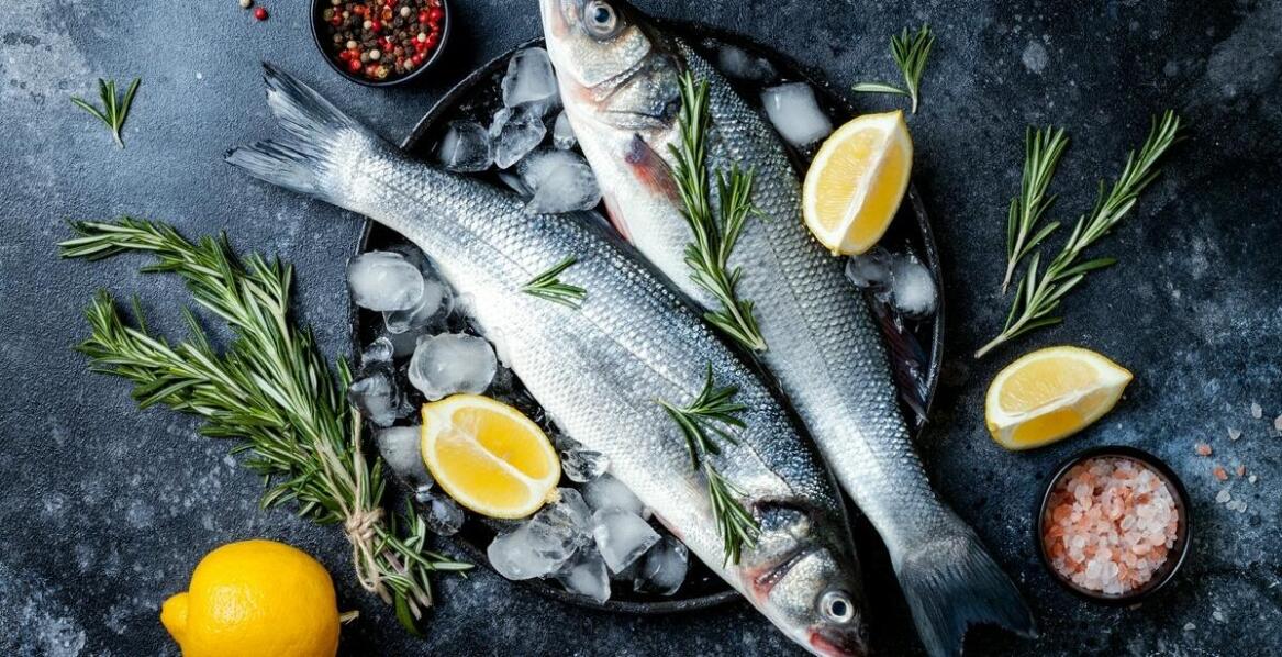 Jak ryby wspierają układ odpornościowy kota w diecie BARF?