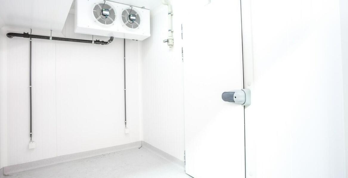 Jakie czynniki uwzględniać przy wyborze komory mroźniczej?