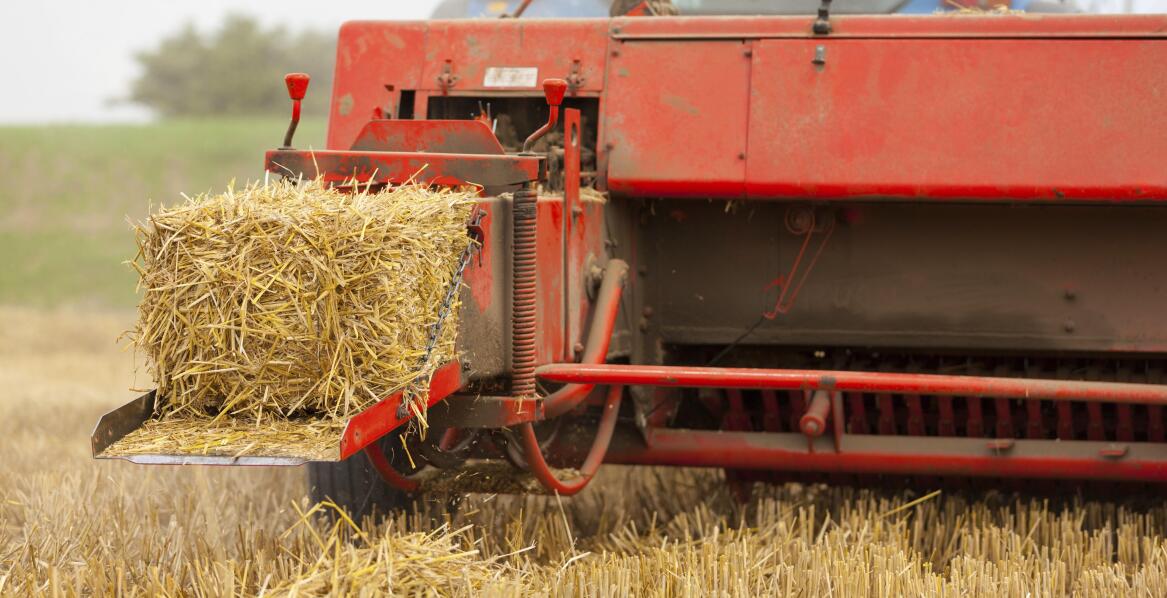 Najważniejsze parametry techniczne przy wyborze prasy kostkującej