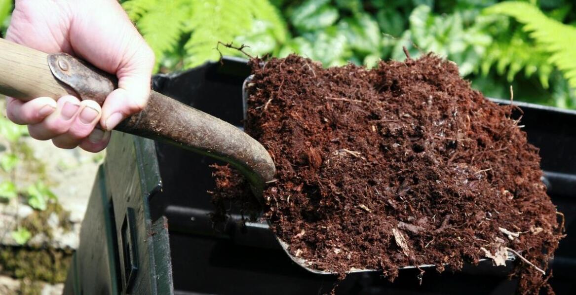 Jakie korzyści przynoszą zrównoważone praktyki w usługach ogrodniczych?