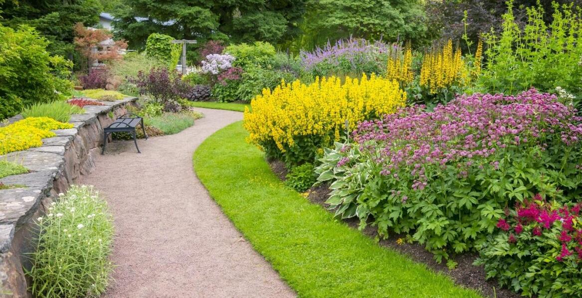 Jakie rośliny wybrać do rabat, aby zapewnić sezonowość kwitnienia przez cały rok?