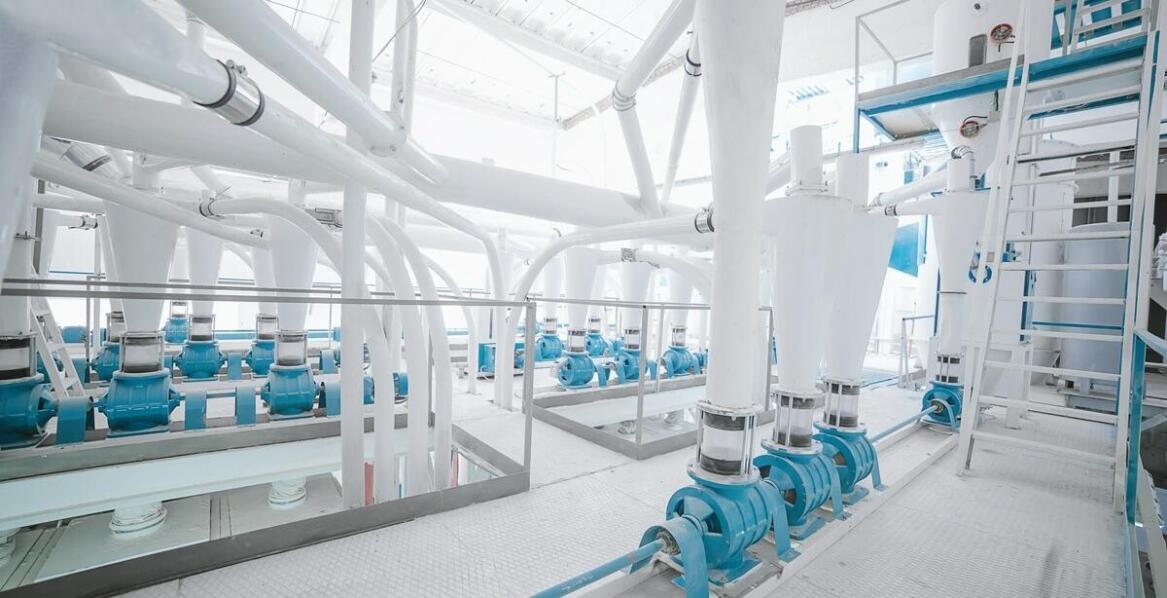 Certyfikacja karmy dla zwierząt a optymalizacja procesów produkcyjnych