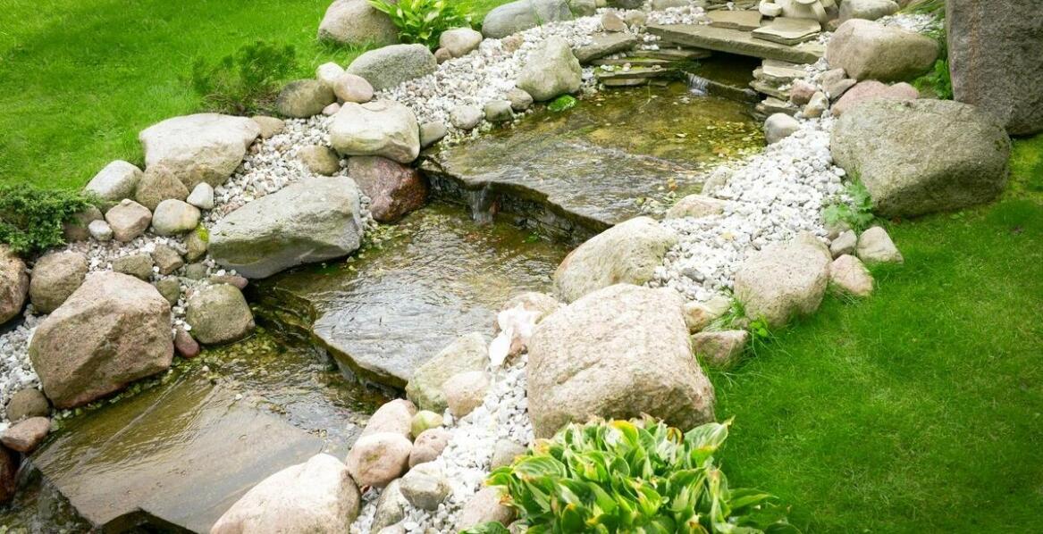 Jakie są kluczowe etapy zakładania oczka wodnego w ogrodzie?