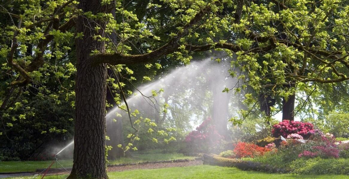 Pogłębianie studni jako sposób na zwiększenie zasobów wody w ogrodzie