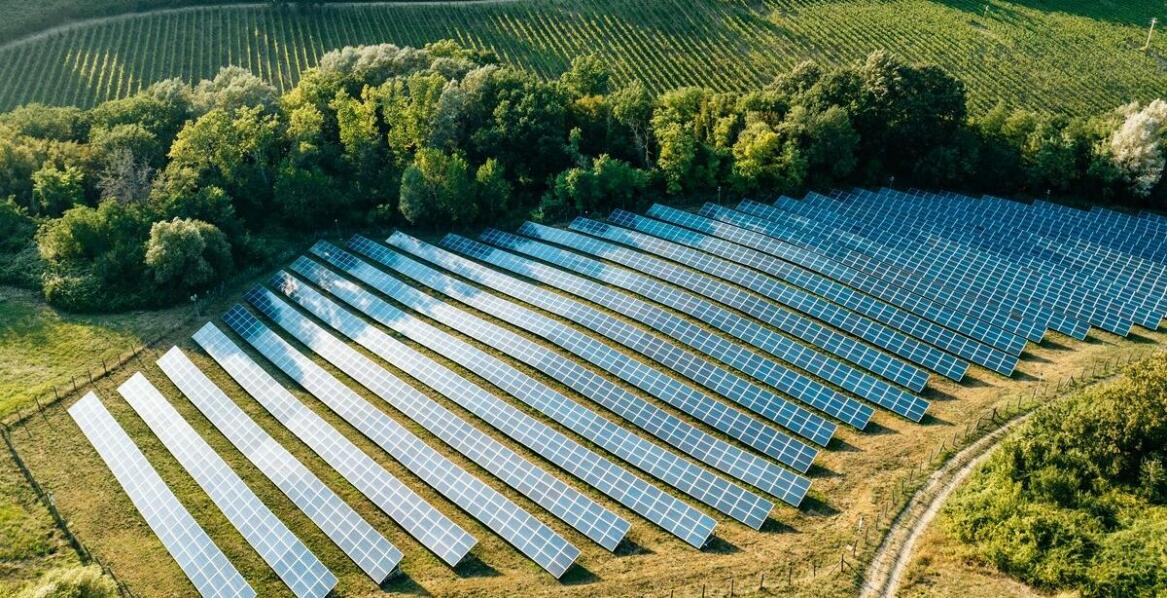 Photovoltaik-Montagesysteme: Wichtige Innovationen für den Agrarsektor