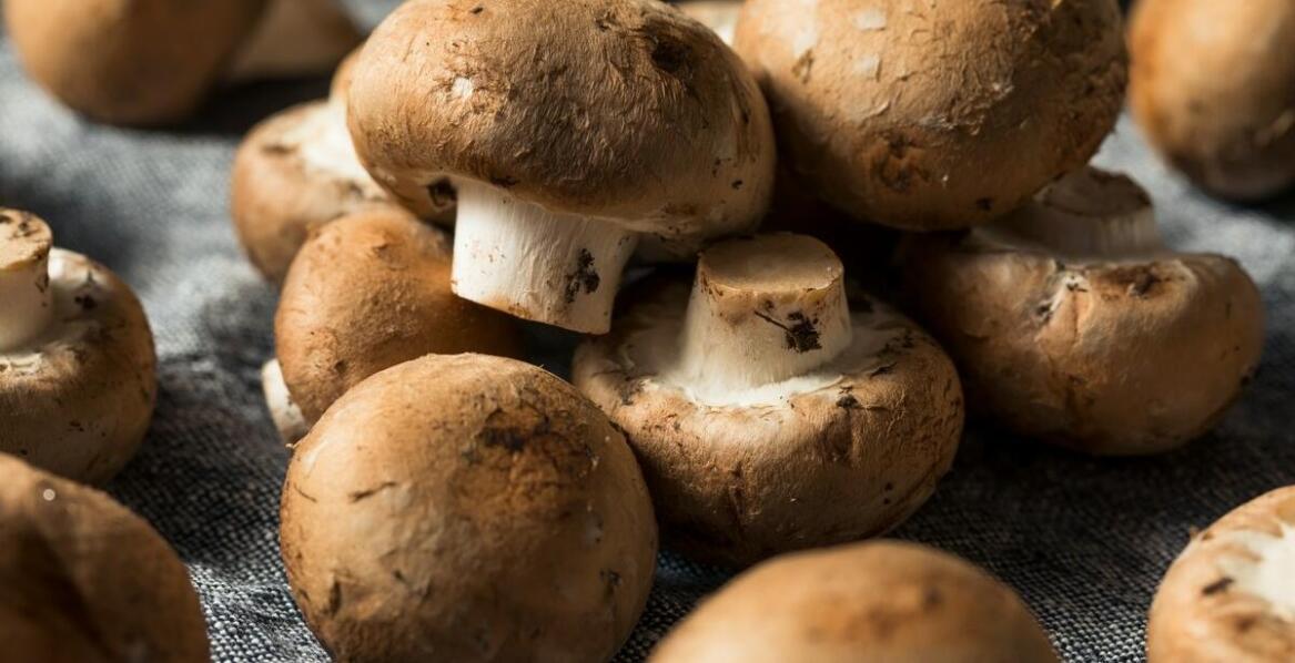 Key Benefits of Choosing Polish Mushrooms for a Seasonal Menu