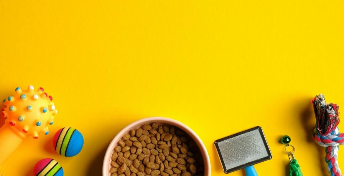 Jakie znaczenie ma włókno w diecie kota opartej na suchej karmie?