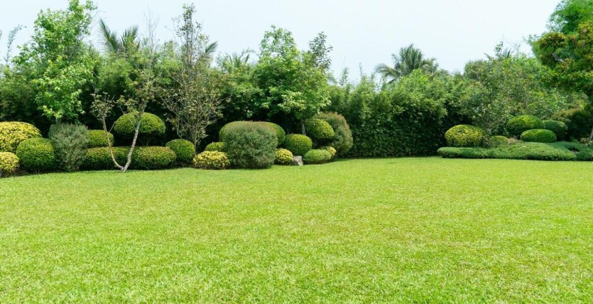 Jak trawnik z rolki wpływa na zwiększenie funkcjonalności ogrodu?