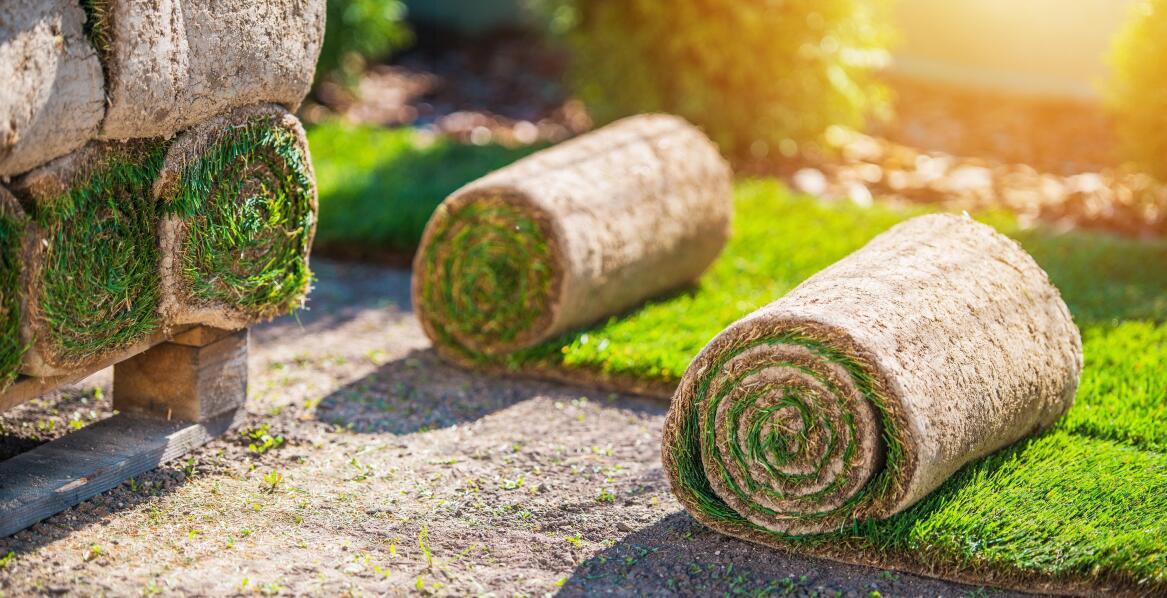 Kluczowe aspekty transportu trawy z rolki dla zachowania jej świeżości