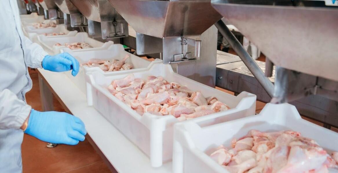 Jakie wymagania muszą spełniać zakłady przed rozpoczęciem audytu sanitarnego?