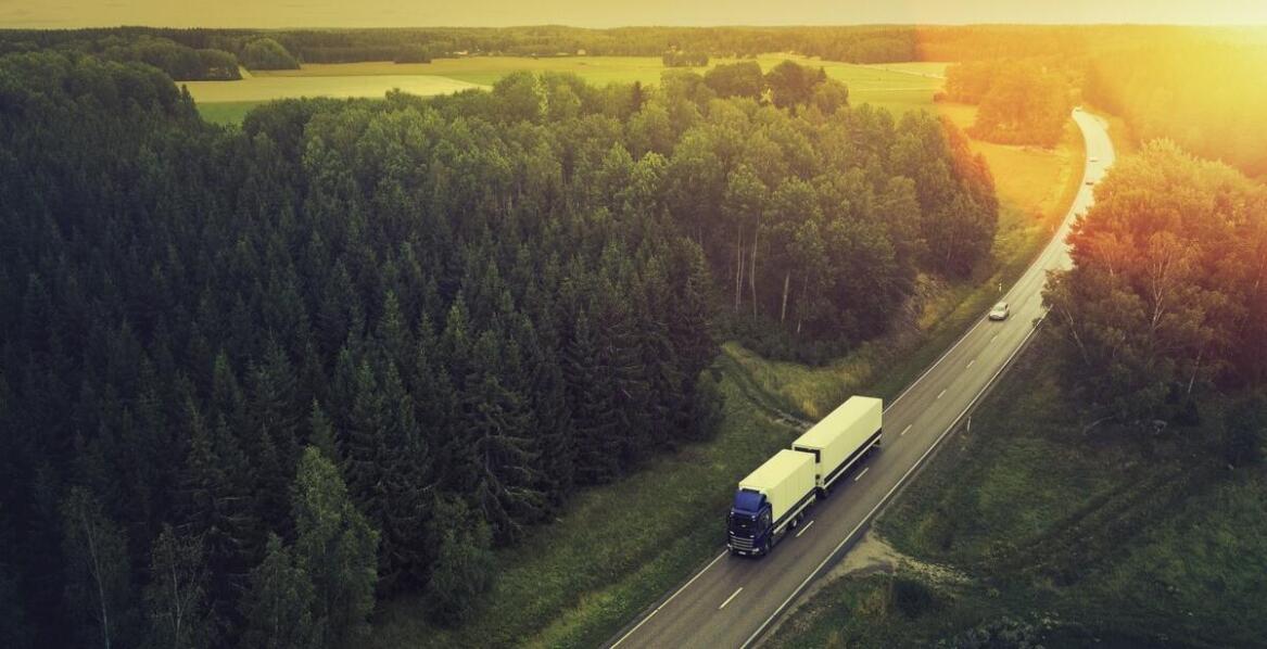 Opinie klientów o przewozach z Kożuchowa do Niemiec: co warto wiedzieć?