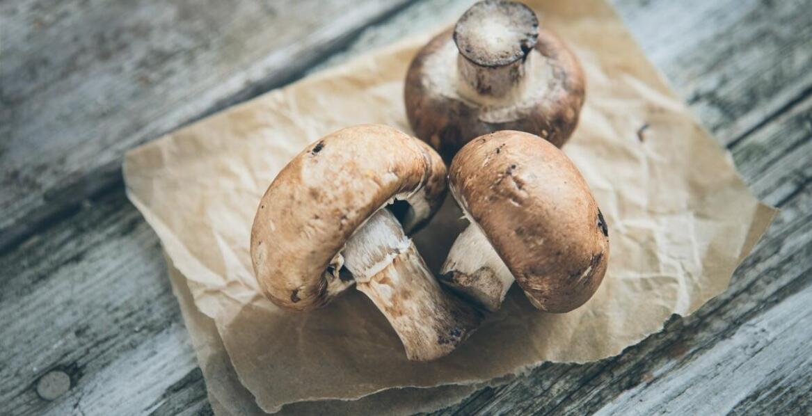 Marynowane duże pieczarki – idealny składnik potraw sezonowych