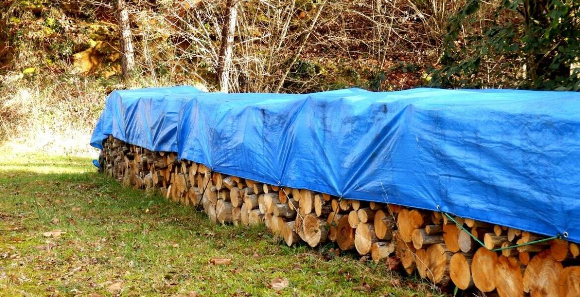 Jak przygotować drewno do zimy, aby uniknąć problemu z pleśnią?