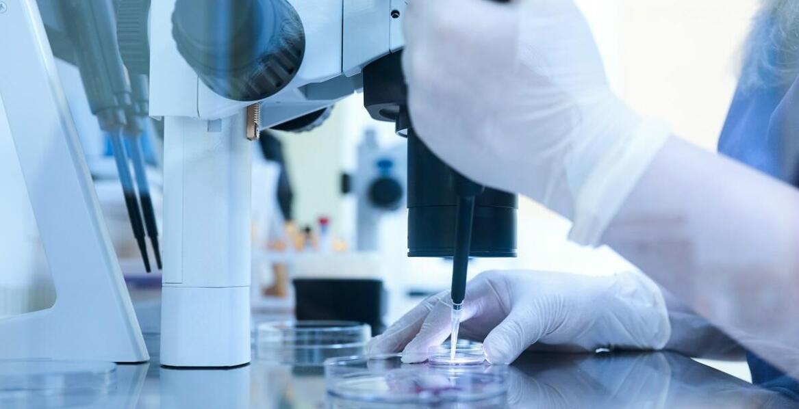 Medycyna regeneracyjna – jakie innowacje wprowadzają specjaliści?