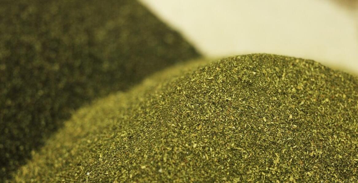 Kluczowe składniki naturalnych pasz dla koni i ich znaczenie dla zdrowia zwierząt