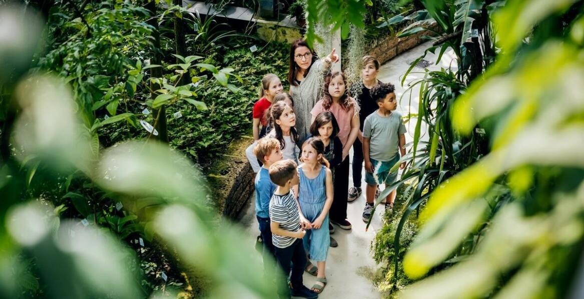 Organizacja zajęć edukacyjnych na trasie wycieczki szkolnej Biskupin – Gniezno