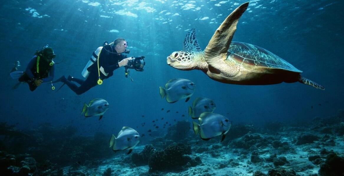 Warsztaty umiejętności nurkowych – jak podnieść swoje kwalifikacje pod okiem ekspertów?