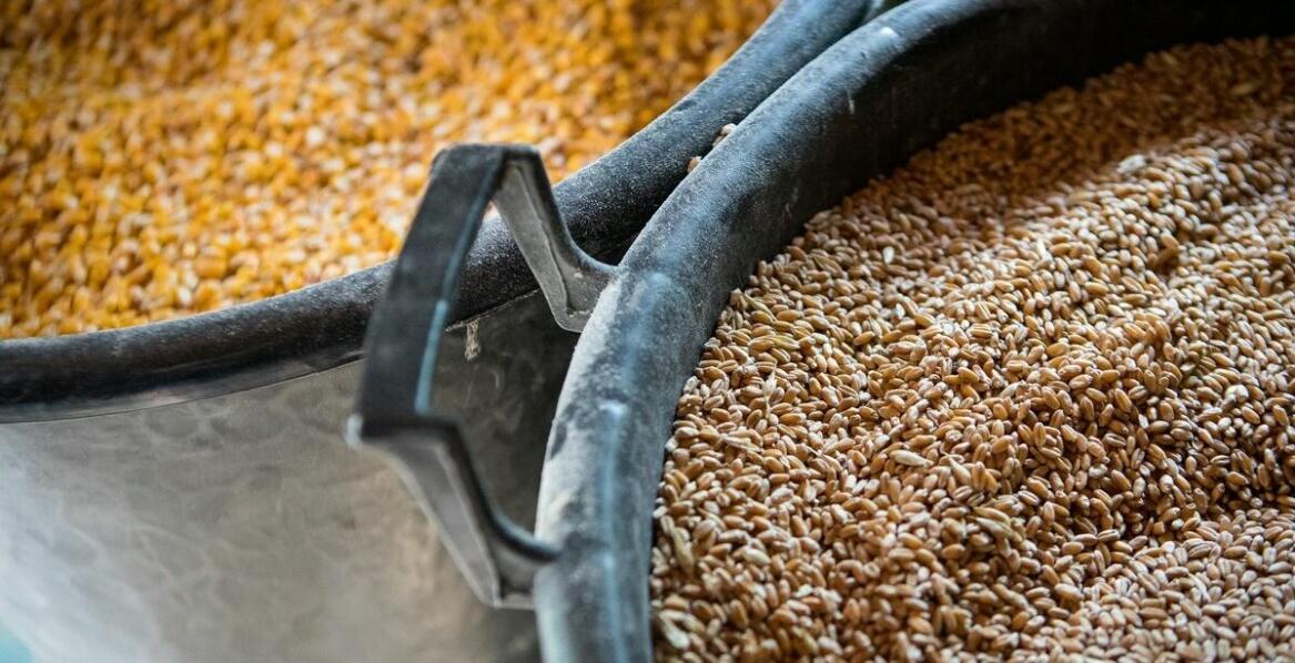 Innowacyjne materiały stosowane w produkcji żłobów dla bydła