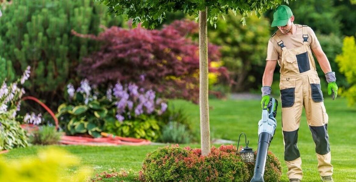 Jak utrzymanie czystości terenów zielonych wpływa na estetykę otoczenia?