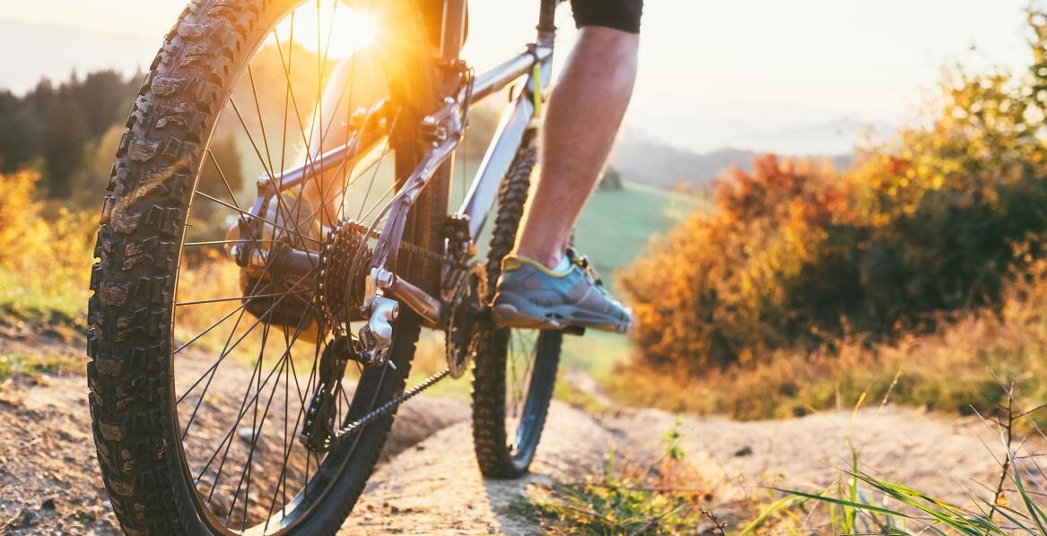 Różnorodność rozmiarów kół w rowerach górskich - co warto wiedzieć?
