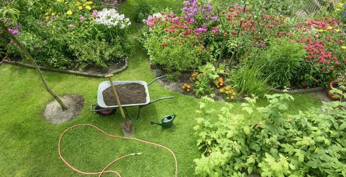 Profesjonalne zakładanie ogrodów: Jakie są kluczowe etapy procesu?