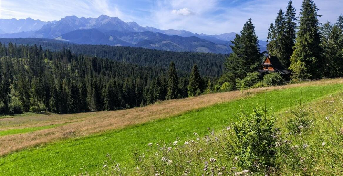 Jak zorganizować wyjazd do Austrii, by był inspirujący i edukacyjny?