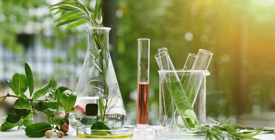 Wpływ witaminy B17 na proces regeneracji po leczeniu onkologicznym