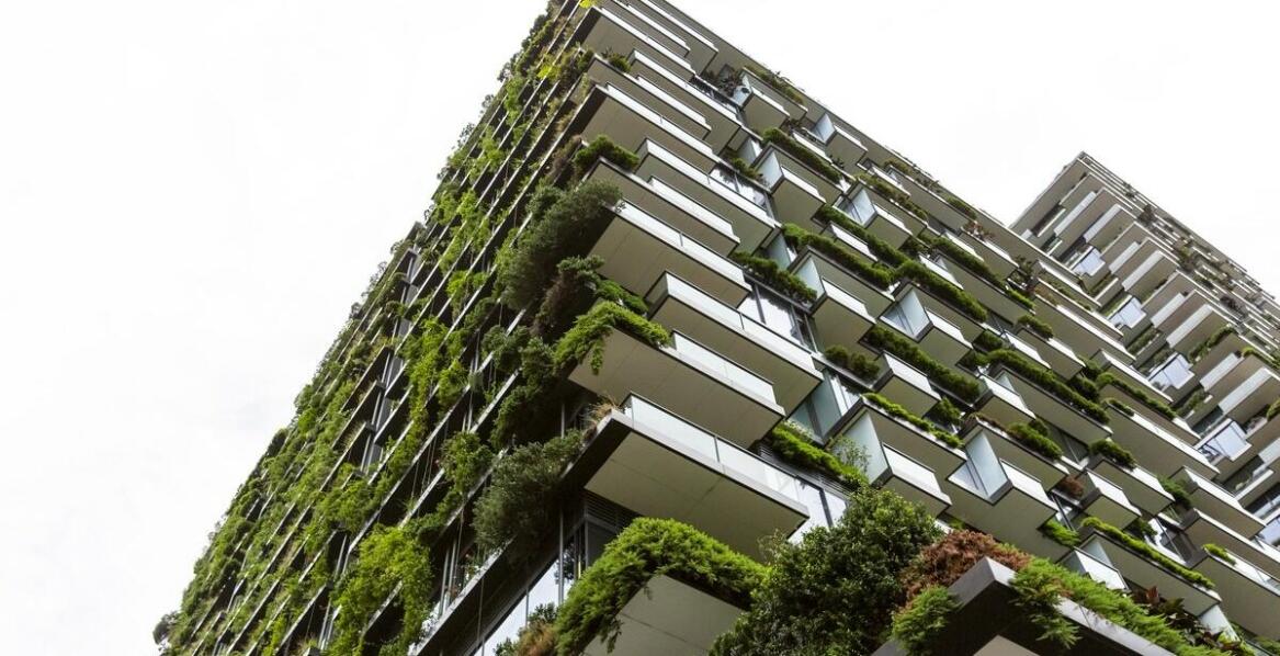 Różnorodność roślin w ścianach zieleni – jakie gatunki wybrać?