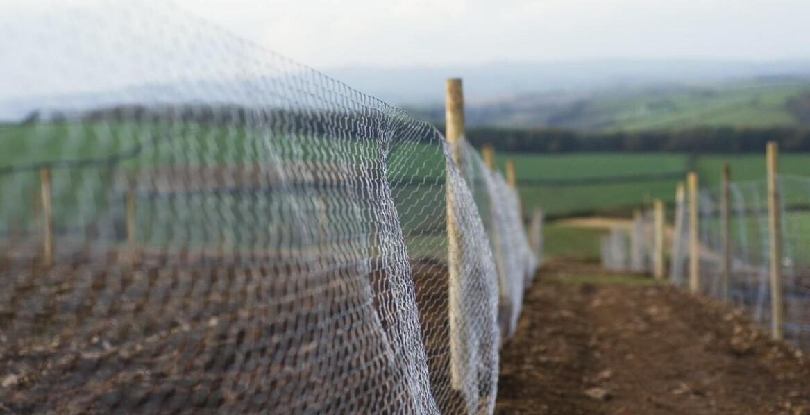 Zastosowanie sit żaluzjowych w różnych rodzajach upraw