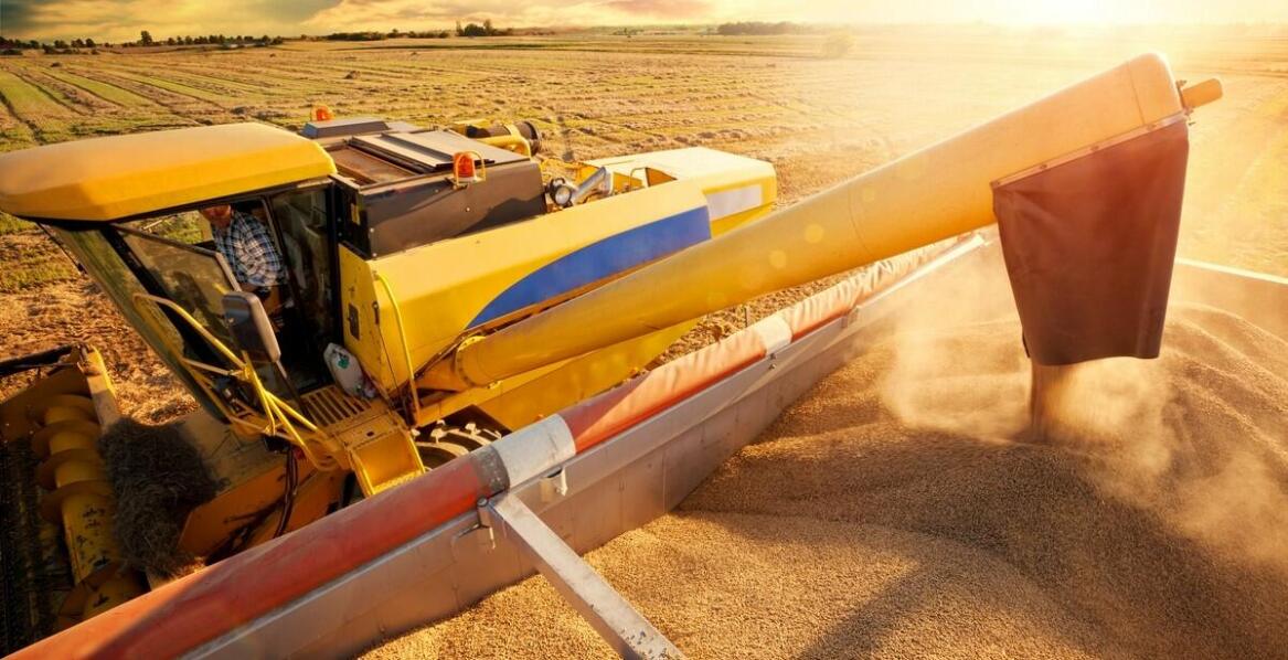 Wpływ nowoczesnych wozów paszowych na dobrostan zwierząt