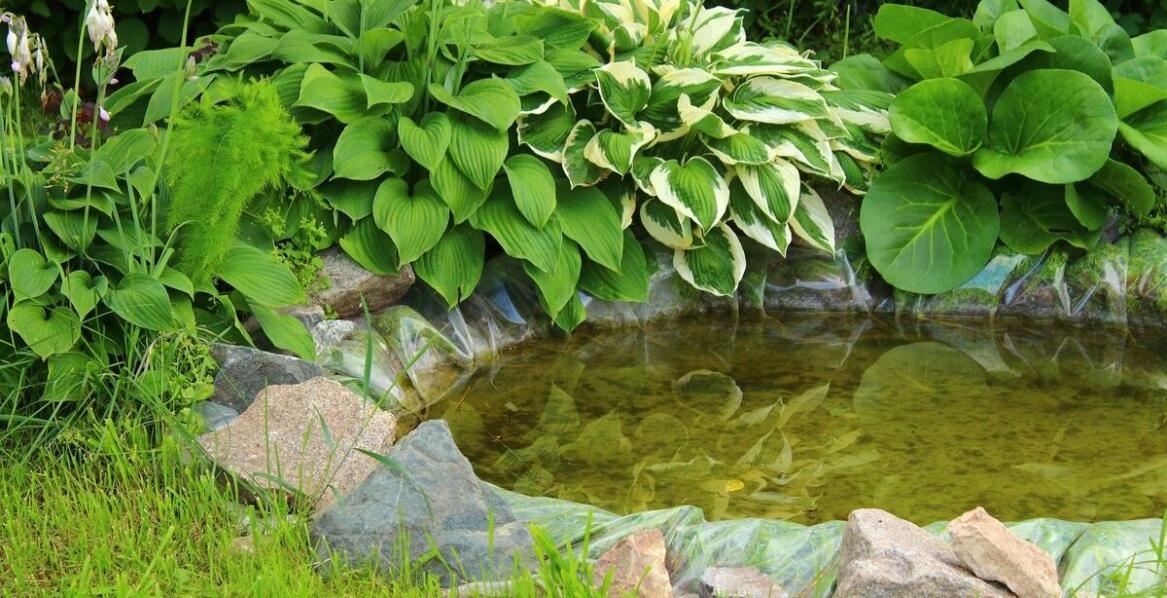 Wpływ jakości materiałów na trwałość oczek wodnych