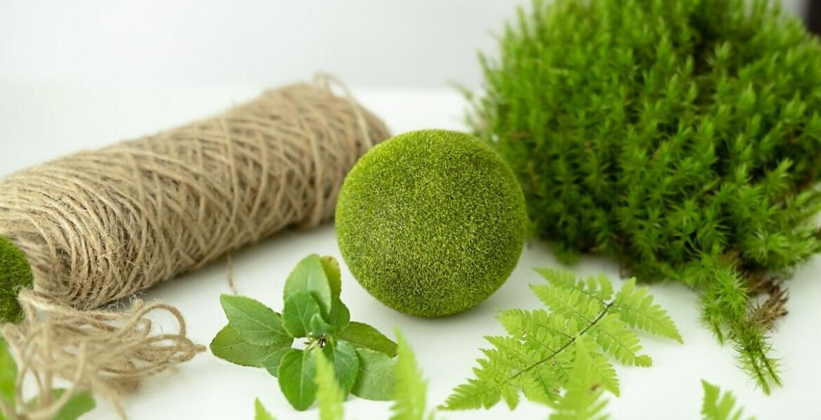 Jakie innowacyjne akcesoria mogą uatrakcyjnić wystrój Twojego terrarium?