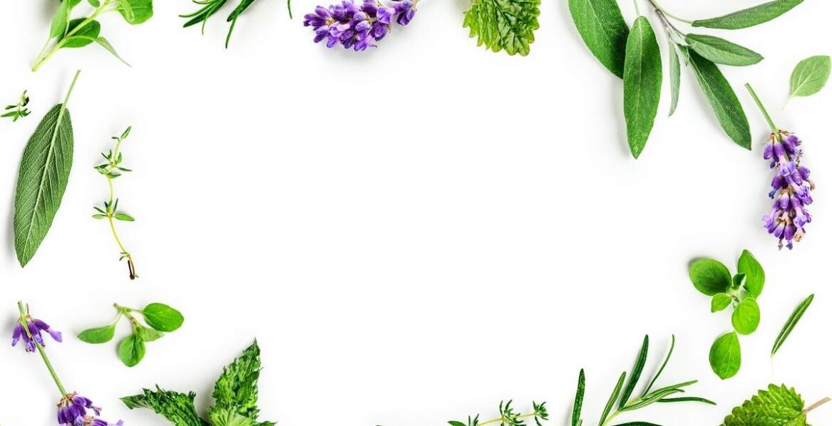 Dlaczego warto stosować Artrin XXL krem ziołowy na co dzień?