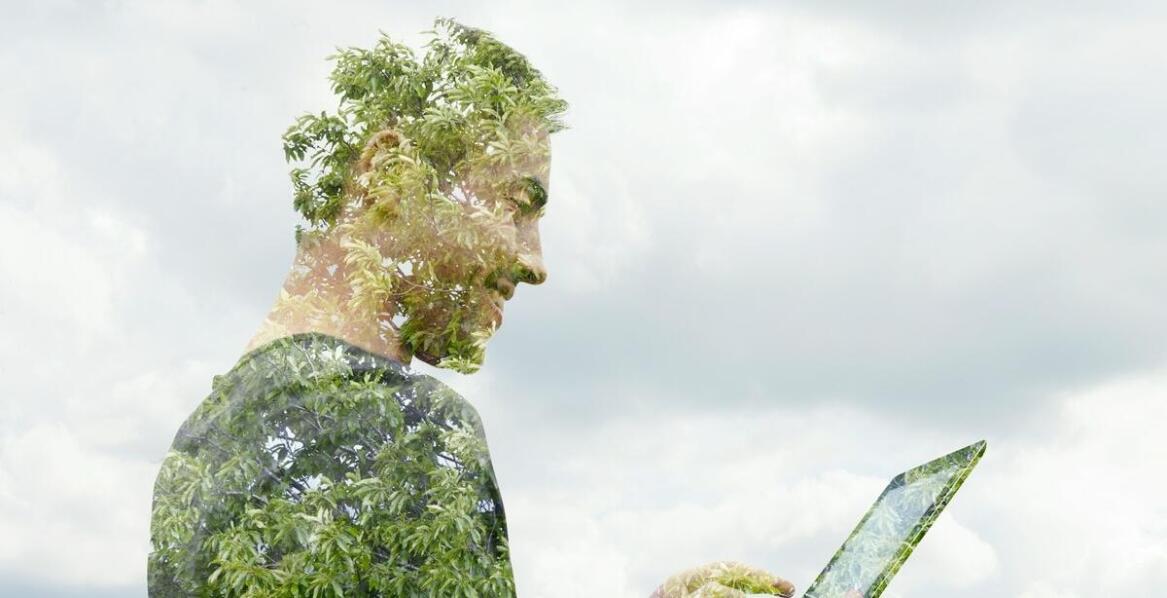 Znaczenie audytów środowiskowych dla monitorowania zgodności z normami