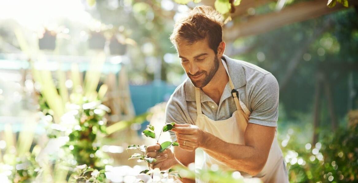 Jak silvoterapia wspiera zdrowie psychiczne seniorów?