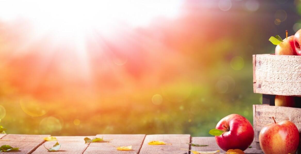 Jabłko Gloster a zmieniające się preferencje konsumentów