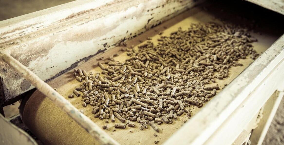 Wpływ sit wibracyjnych na redukcję emisji odorów podczas przetwarzania odpadów