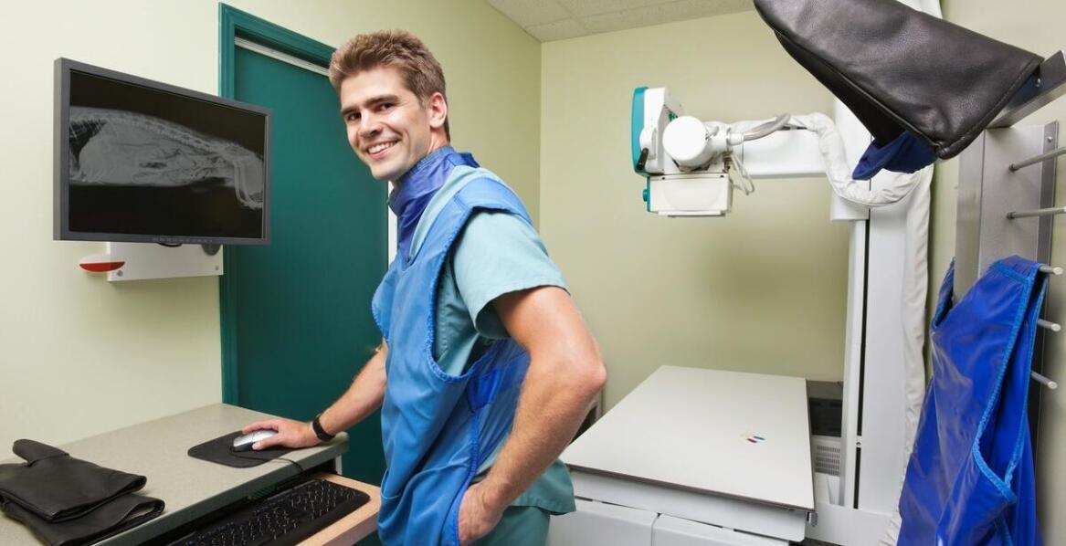 Rola weterynarza w opiece nad zwierzętami z problemami ortopedycznymi