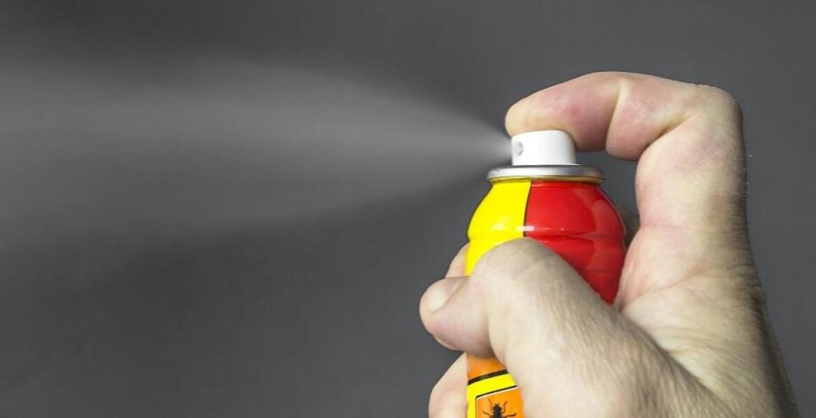 Środki do zwalczania owadów: jak wybrać odpowiedni produkt dla swojego ogrodu?