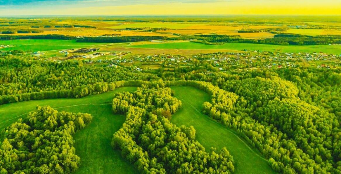 Dlaczego warto sprzedać rolną działkę poprzez skup?