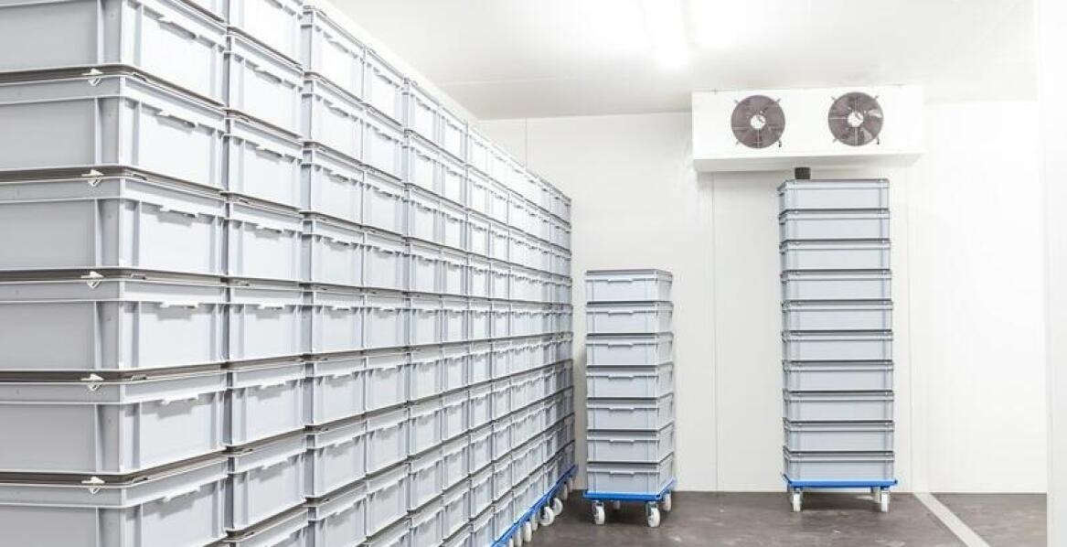 Jakie zasady magazynowania stosować dla spożywczych produktów?