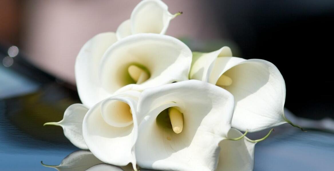 Rola dekoracji kwiatowych w tworzeniu niezapomnianej atmosfery podczas pogrzebu