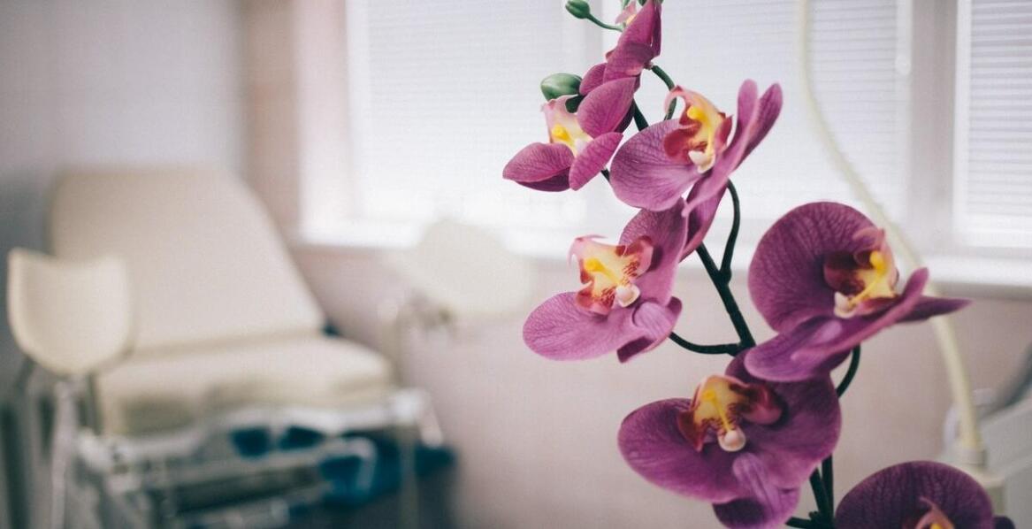 Jakie zabiegi oferuje gabinet estetycznej ginekologii dla poprawy intymnej estetyki?