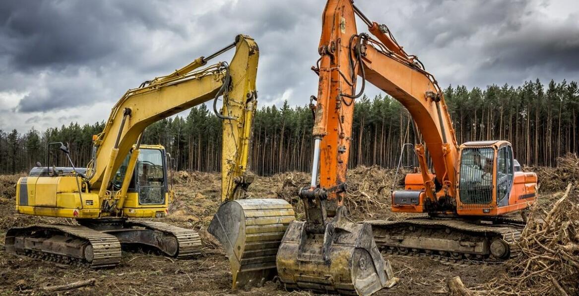 Frezowanie pni a przygotowanie terenu do budowy – co warto uwzględnić?
