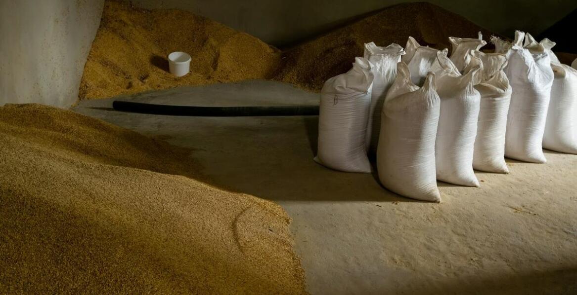 Jak zrzutowy wózek może usprawnić logistykę w magazynach zbożowych?