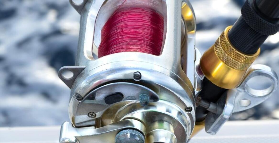 Kluczowe cechy, które powinny mieć multiplikatory morskie